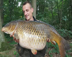 CROC31